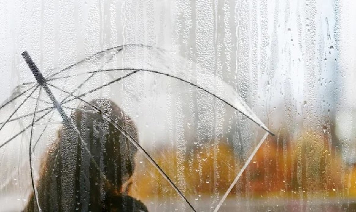 Дожди с грозами, усиление ветра прогнозируют в Астане и Алматы