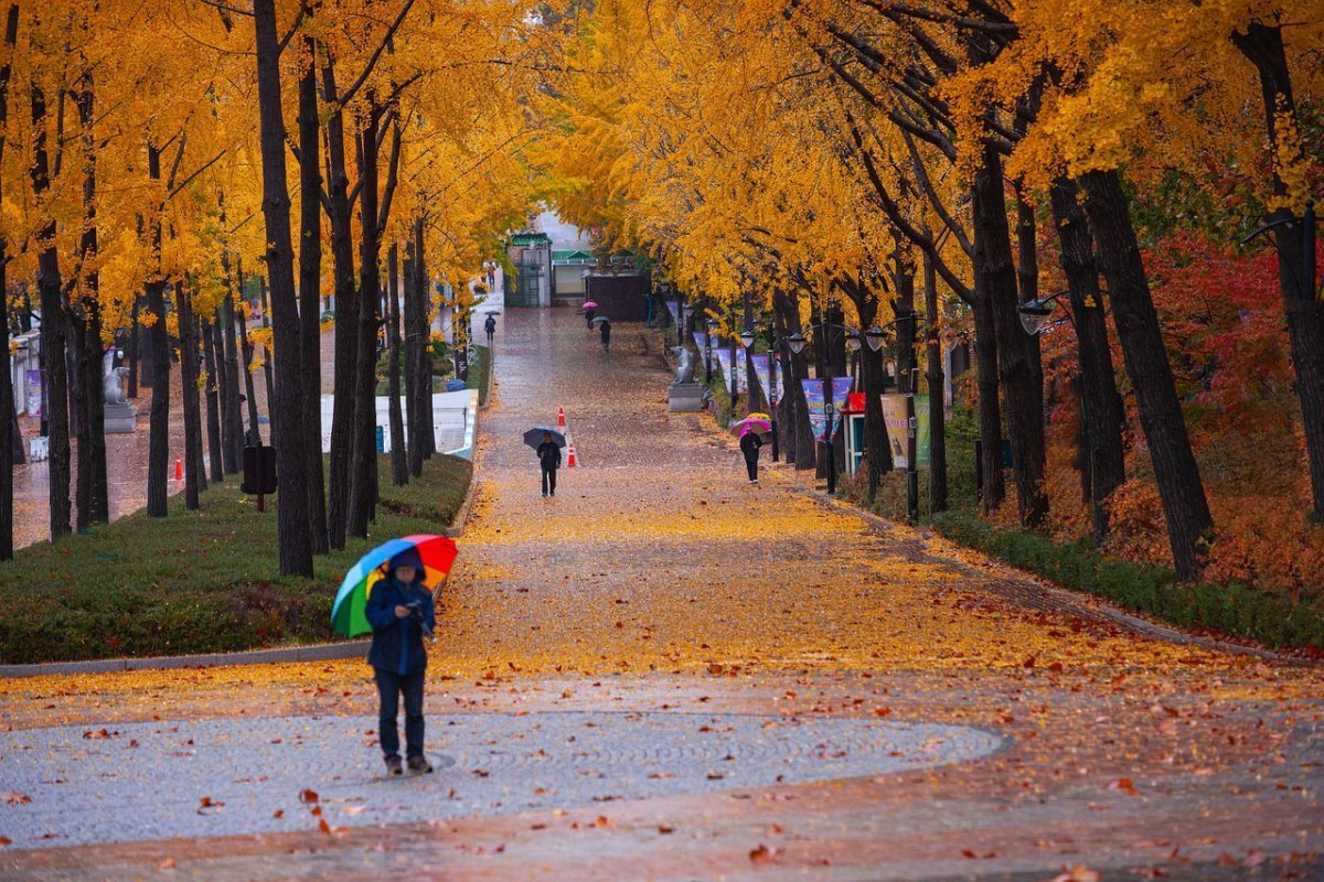 Сильный дождь, град и шквал прогнозируют синоптики в Казахстане