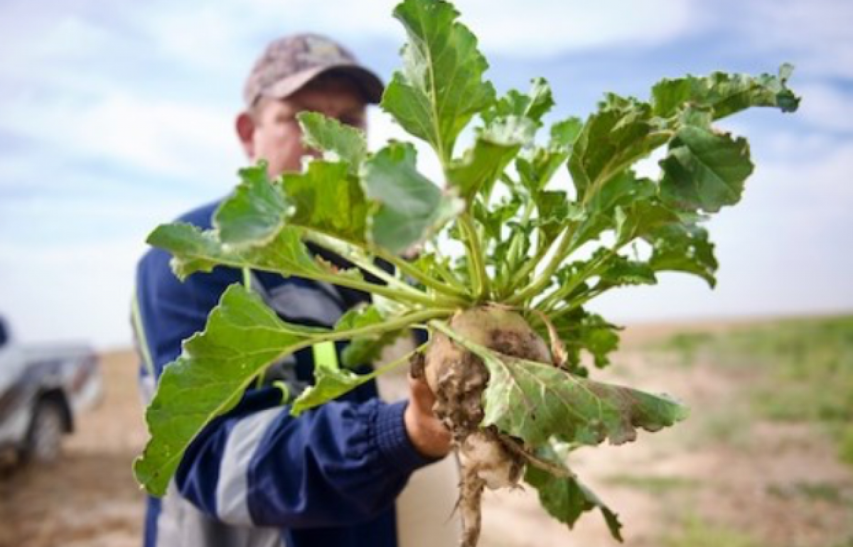 Современные системы водосбережения как фундамент устойчивого сельского хозяйства