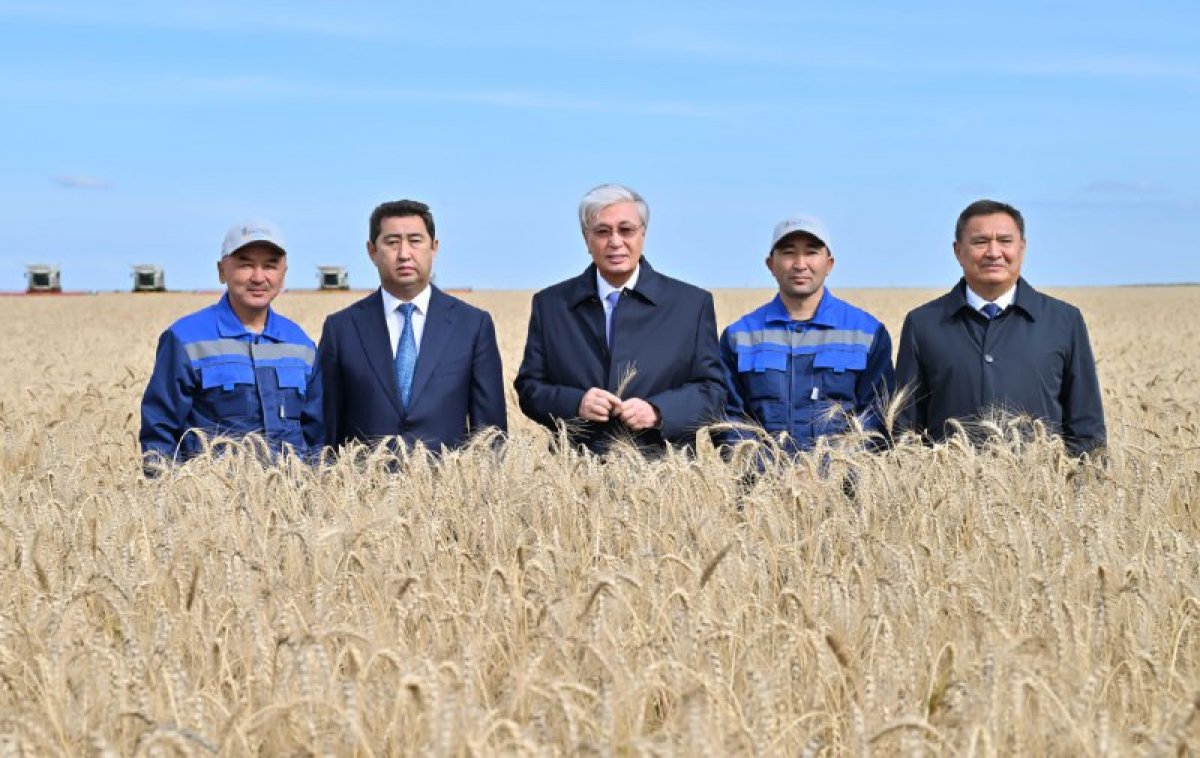 Токаев побывал на полях Акмолинской области