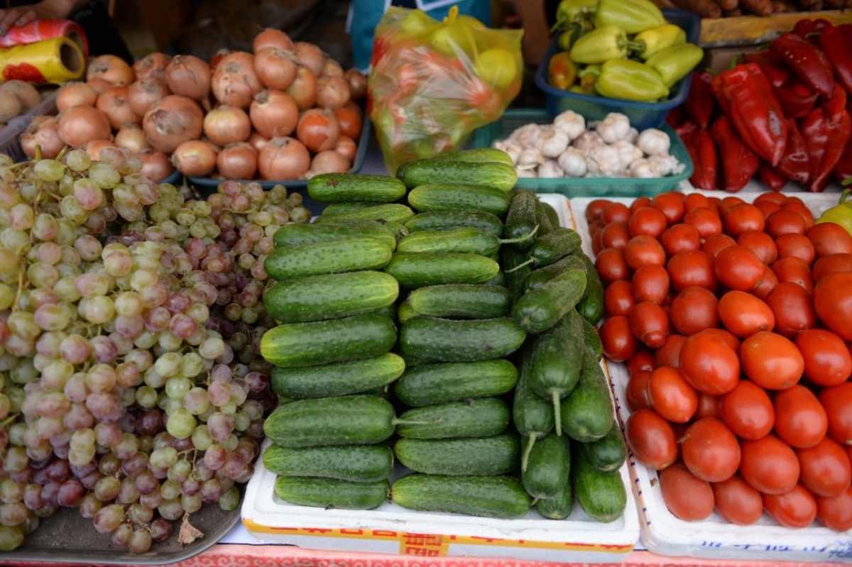 Фермеры Абайской и Атырауской областей представят свою продукцию в Астане