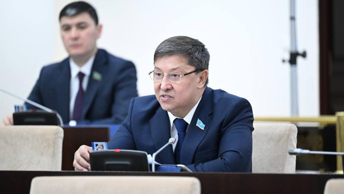 Однопалатный парламент: депутаты будут отвечать за свой округ - Нугманов