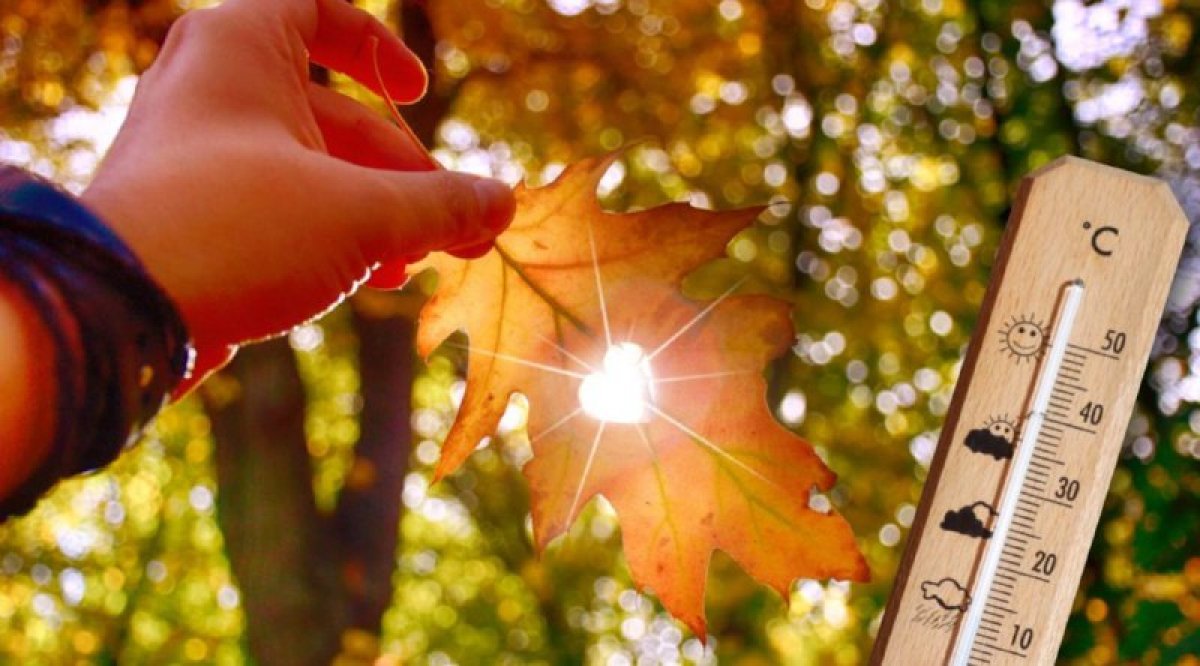 До 26 градусов прогреется воздух Шымкенте