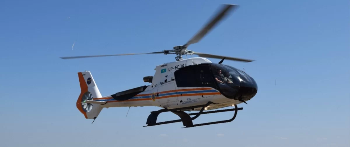 Собака провалилась в колодец в Караганде