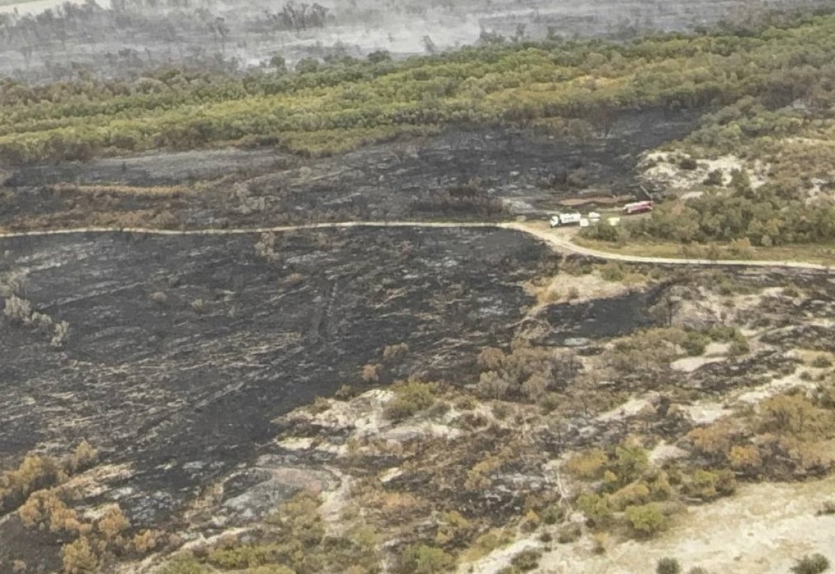 Пожар в нацпарке "Алтын-Эмель" потушен