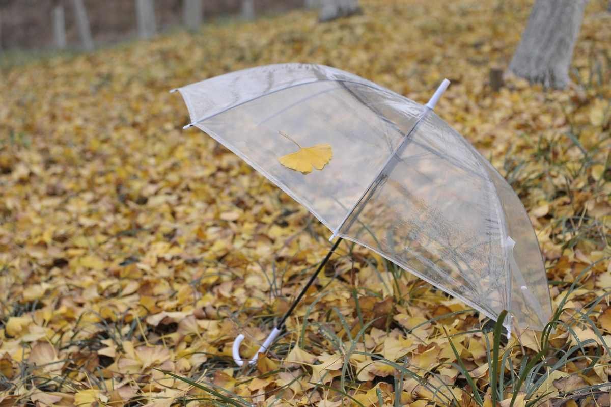 Сильные дожди с грозами накроют Казахстан