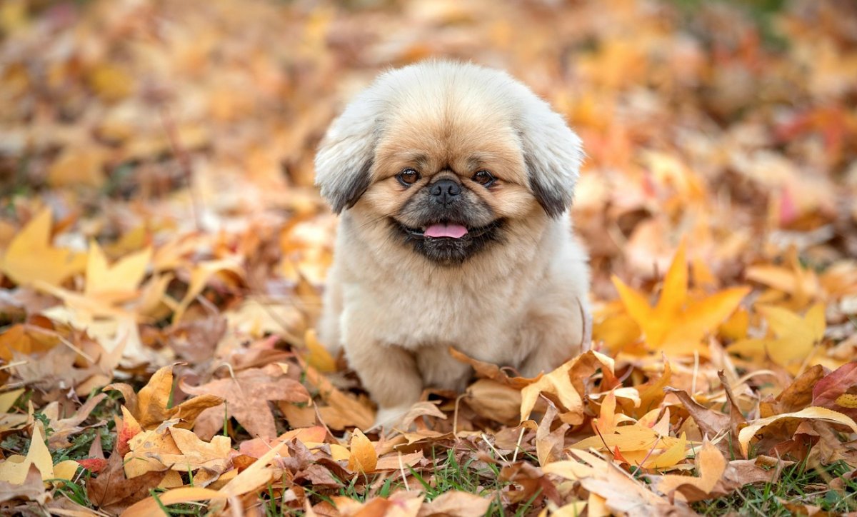 Дожди и заморозки ожидаются в Казахстане