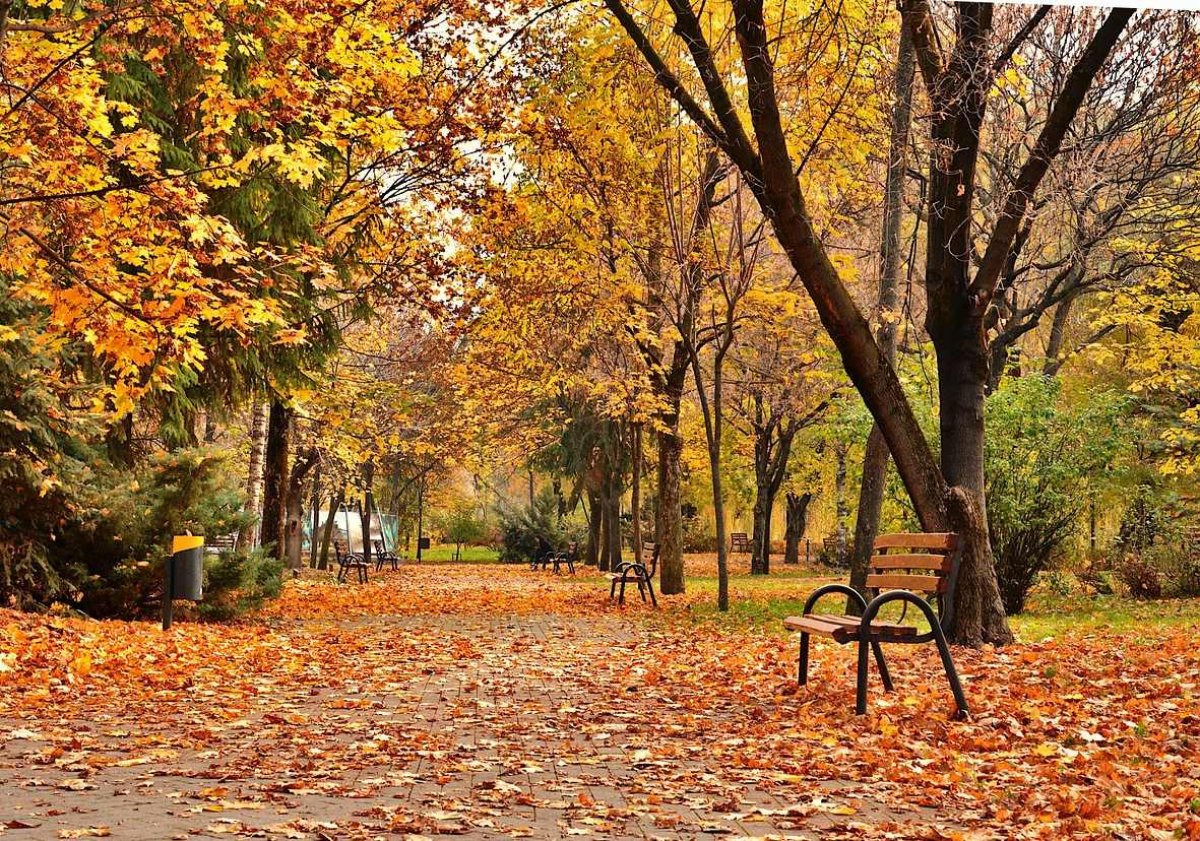 Сильный ветер прогнозируют синоптики в Астане и Алматы