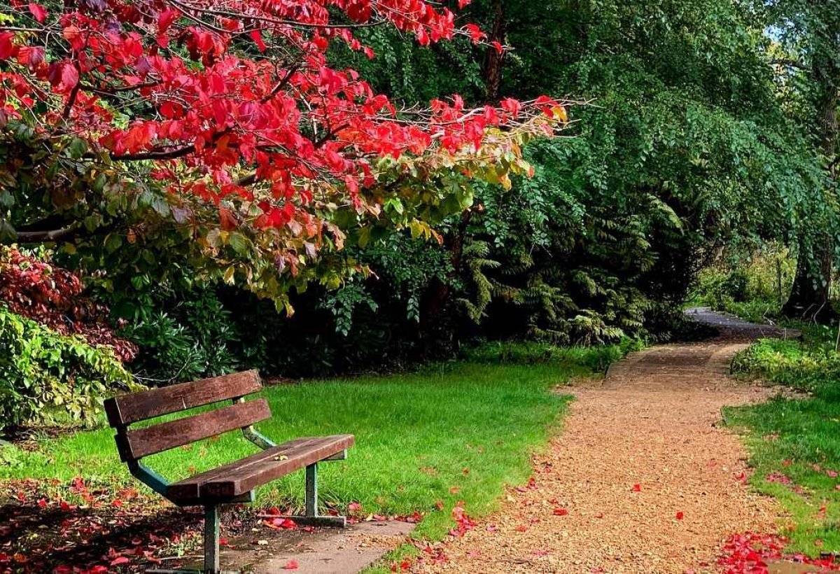 Резкое усиление ветра ожидается в Шымкенте