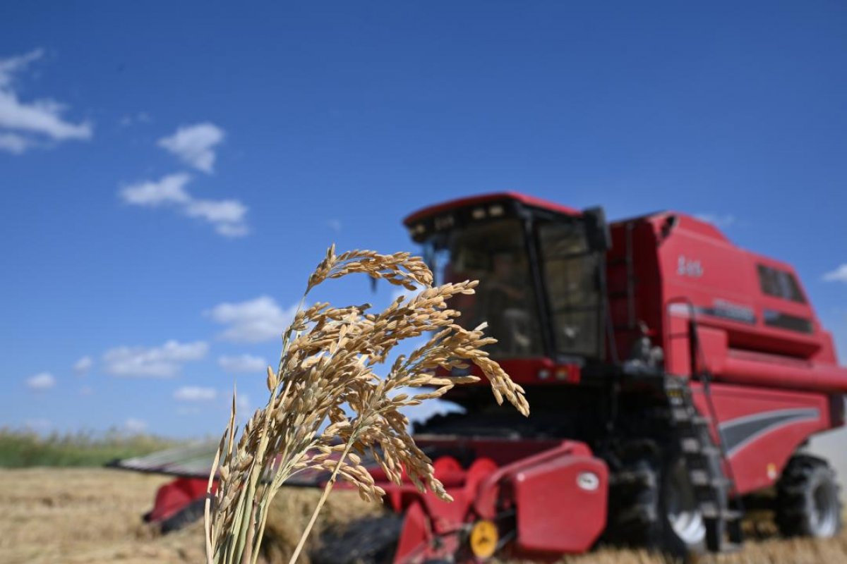 Регионы. На пути перемен