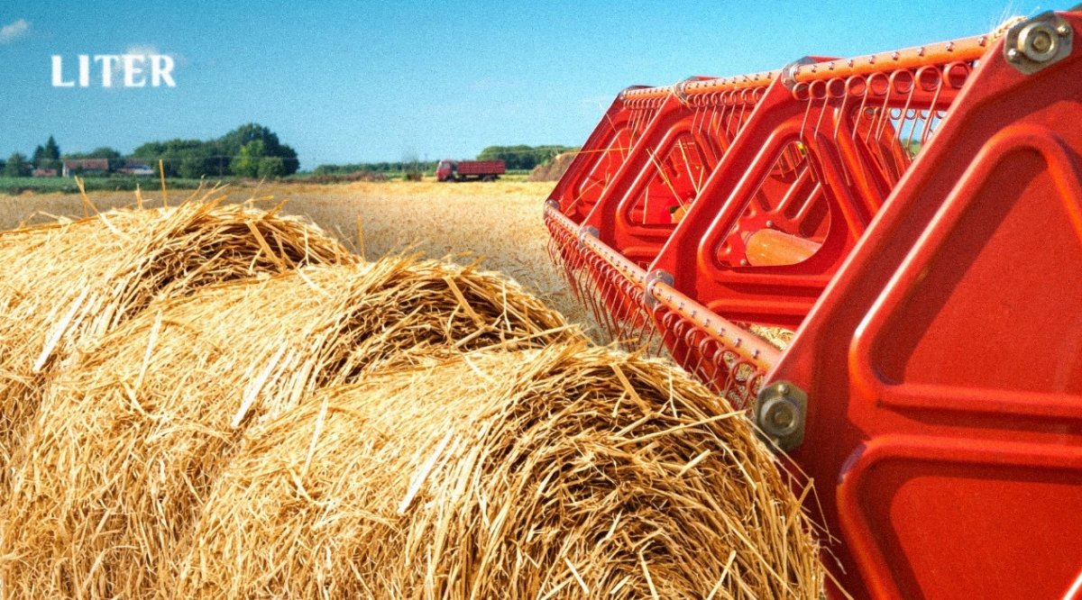 Сбор сена: как развивается старое ремесло в современном мире