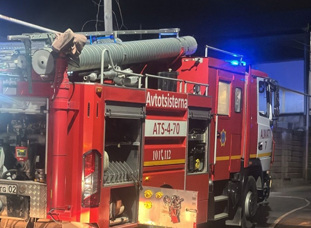 Сухостой горит на склоне горы в Алматы (ВИДЕО)