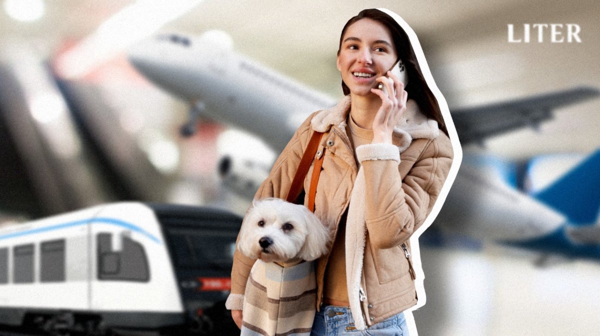 Как путешествовать с домашними животными в Казахстане: правила и советы