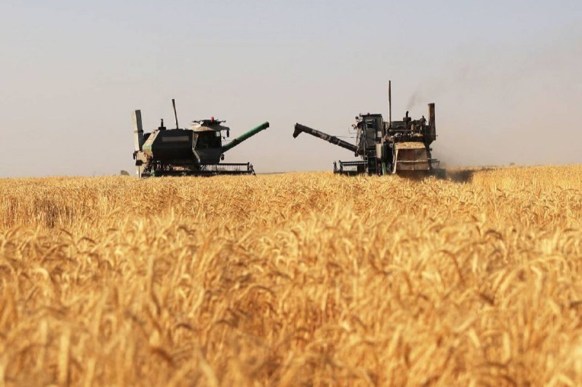 19 тысяч жителей Жамбылской области повысили финансовую грамотность и решили вопросы с кредитами