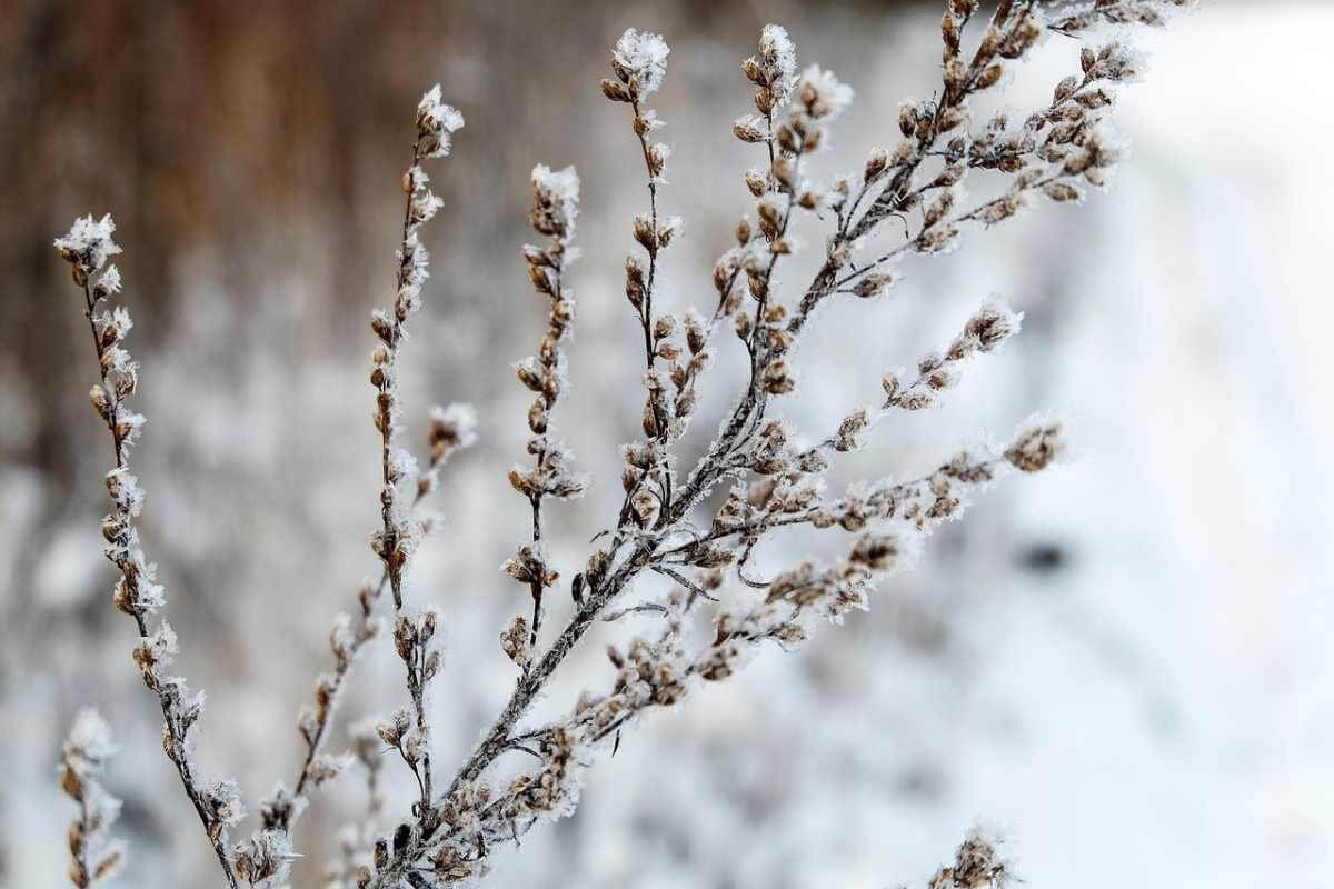 Похолодание с дождем и снегом накроет север Казахстана