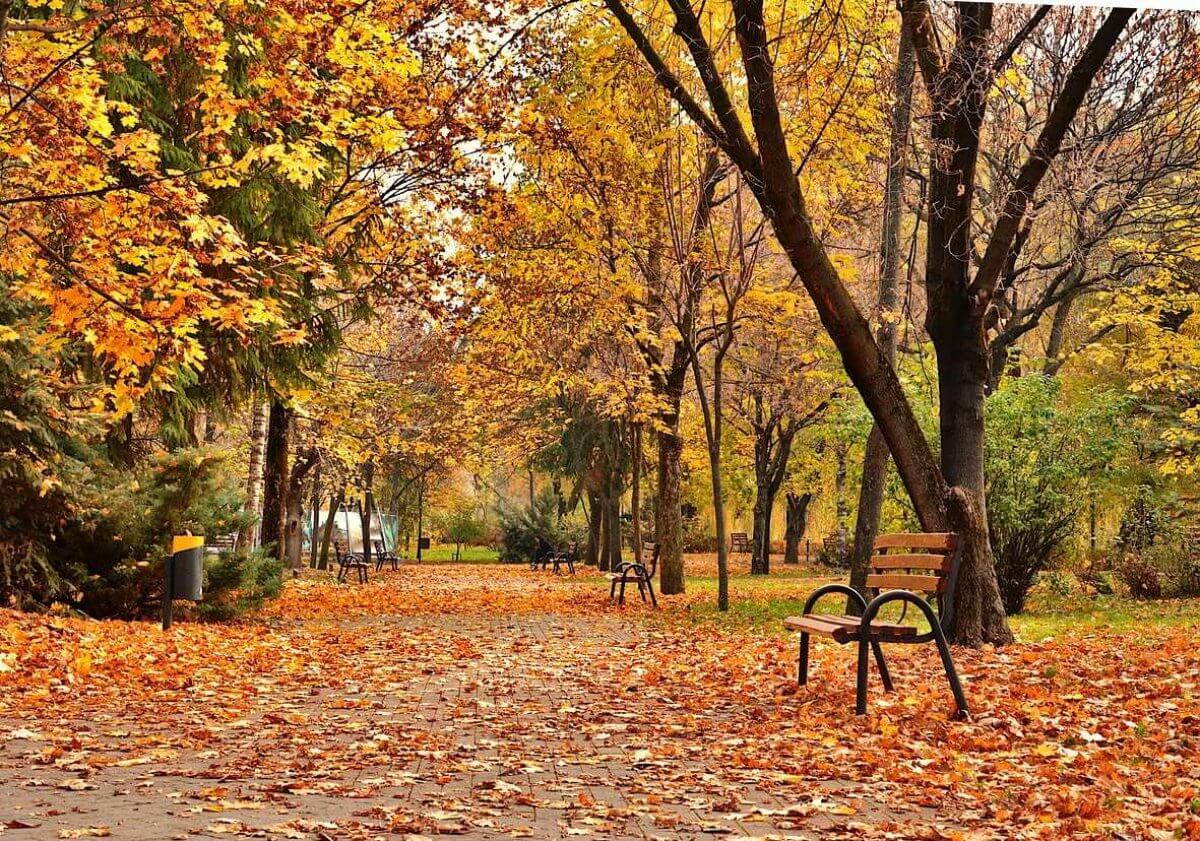 Ветрено и прохладно будет в Шымкенте в выходные