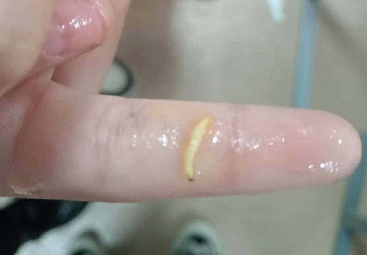 Червя в супе нашли школьники из села в ВКО