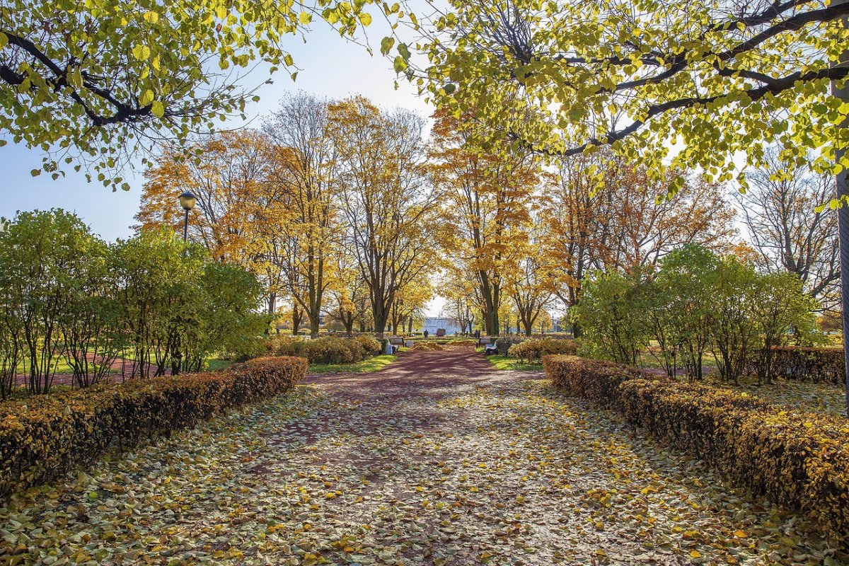 Холодный старт недели: прогноз погоды в Алматы и Астане на 6 октября