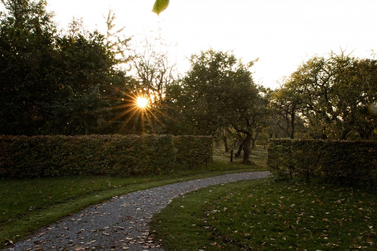 Жара до +23 ожидается в Шымкенте