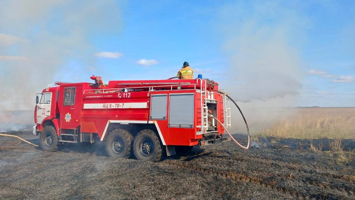 Пожар охватил несколько гектаров камыша близ Астаны