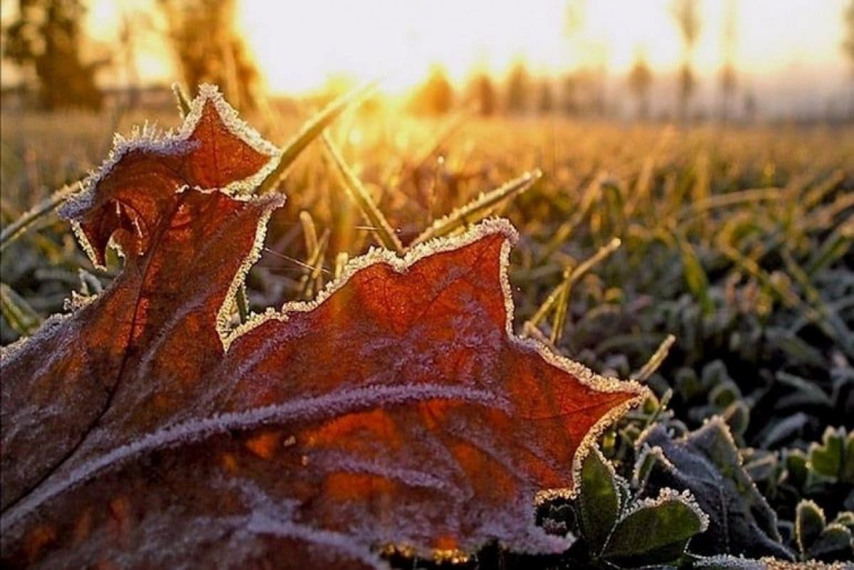 Сильный ветер, заморозки и пыльная буря ожидаются в Казахстане 6 октября