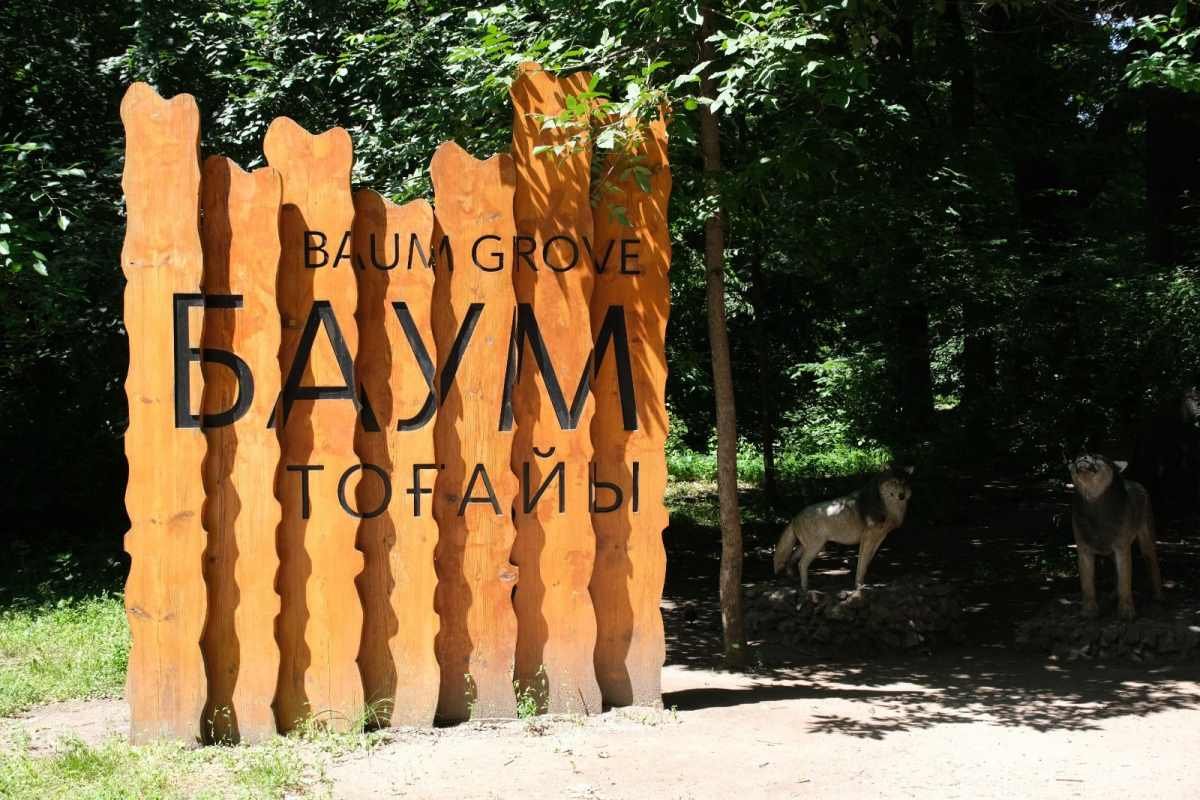 Акимат Алматы сделал заявление по деревьям в роще Баума