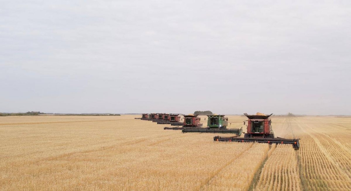 Регионы. На пути перемен