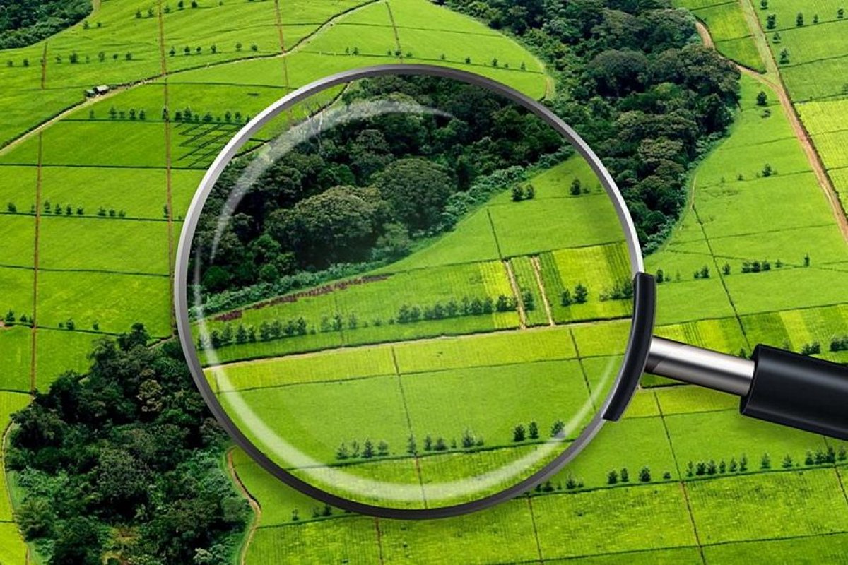 В СКО хозяйства возвращают неиспользуемые земли государству