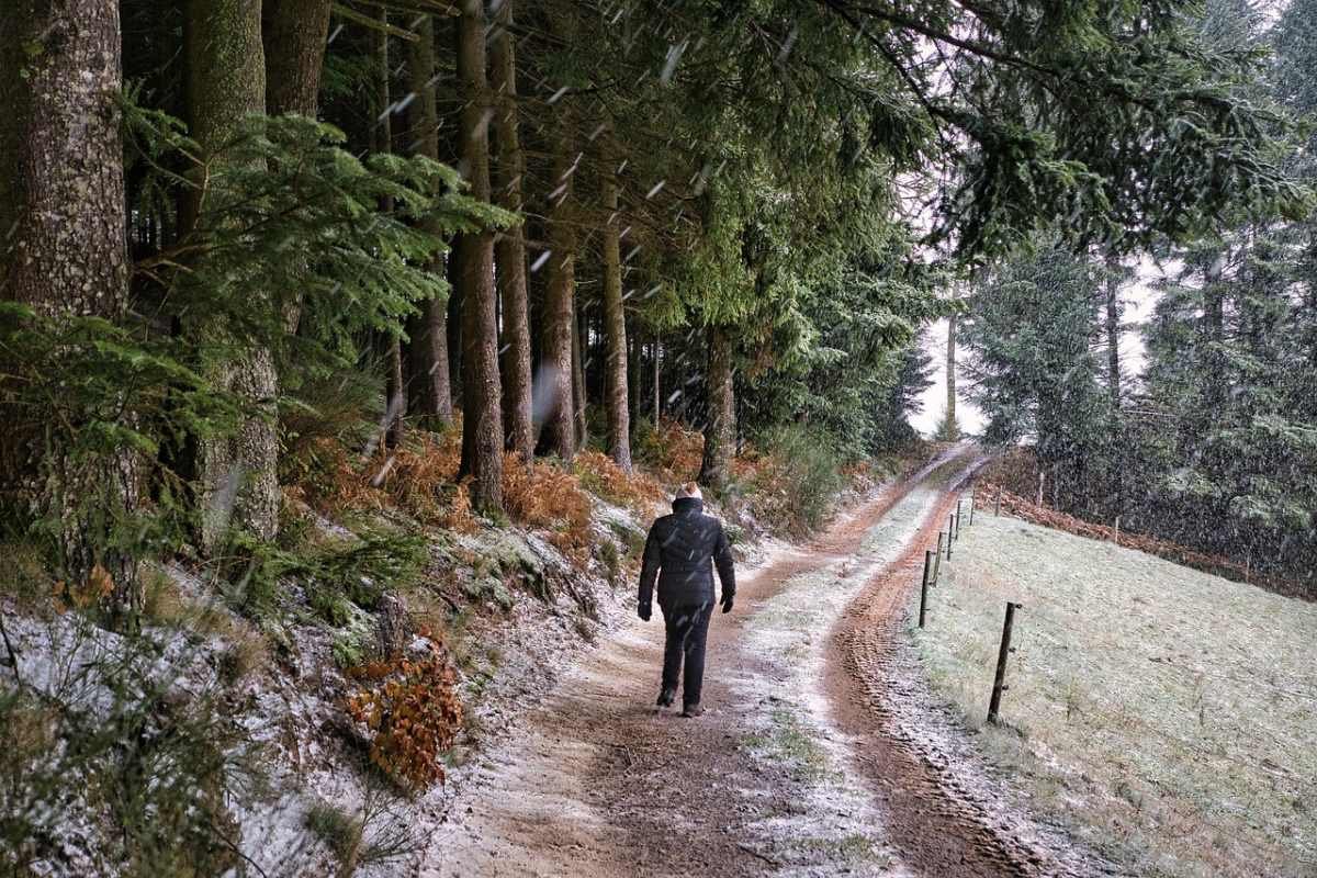 Дожди со снегом прогнозируют в ряде регионов Казахстана