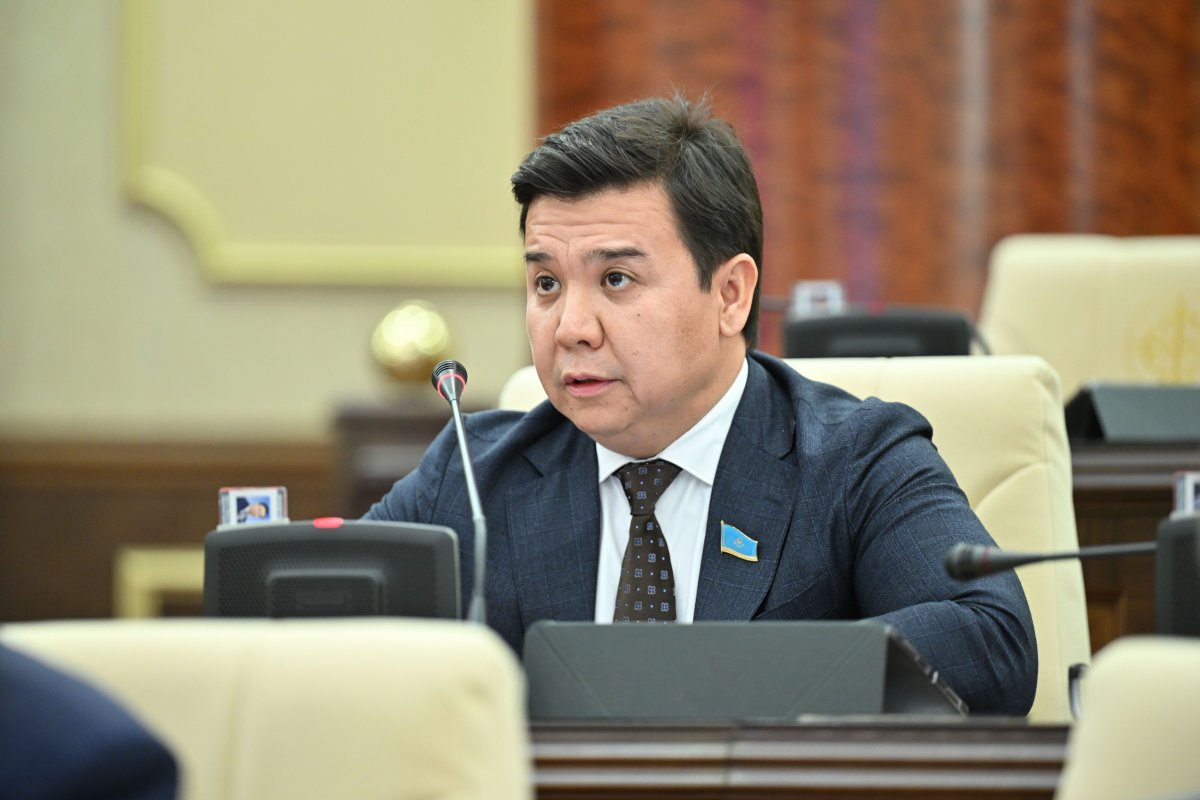 Запретить эксплуатацию старых самолетов предложил мажилисмен