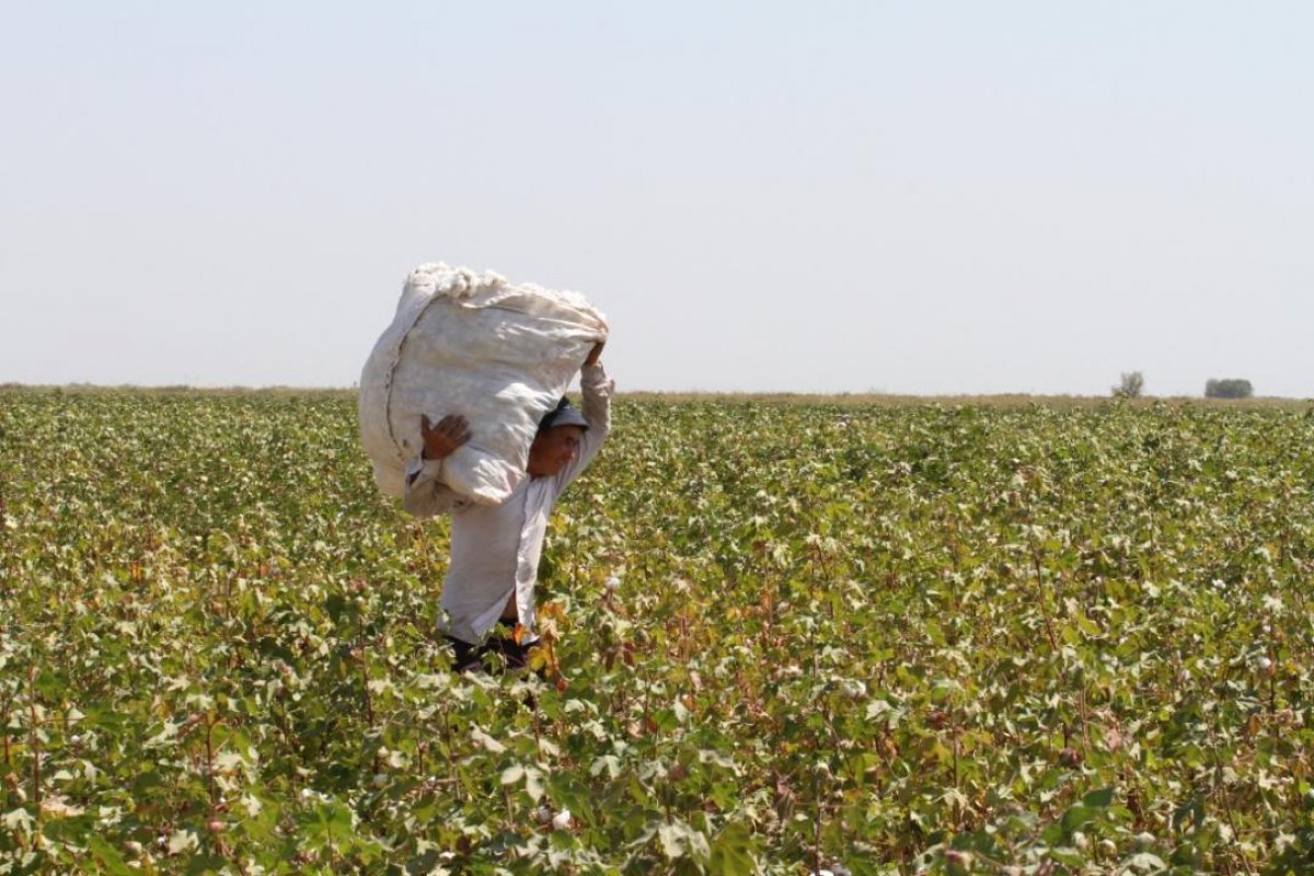 Сильные регионы – сильная страна