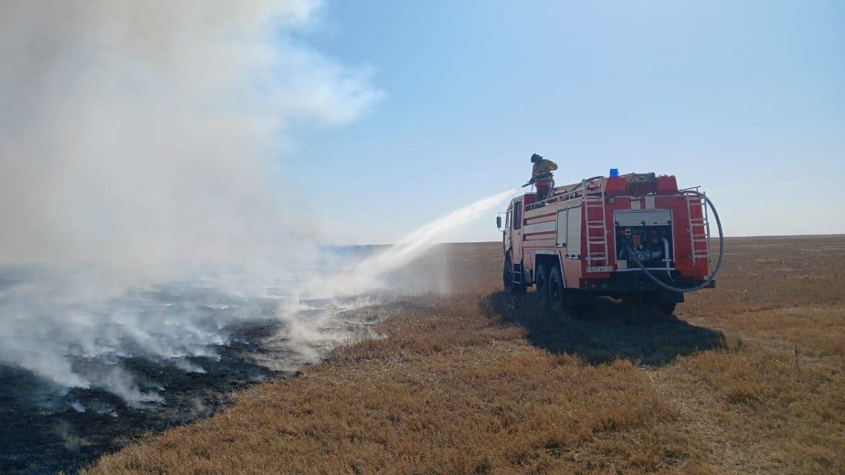 Сухая трава горела на площади 23 га в Акмолинской области