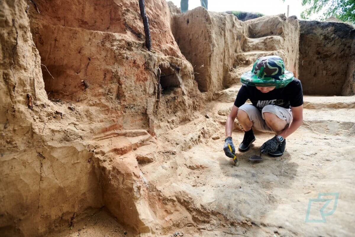 Останки динозавра обнаружили в Кызылординской области