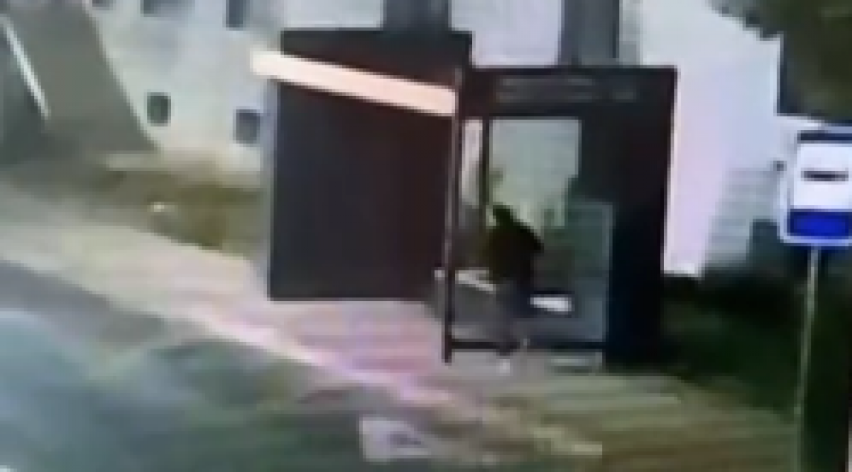 Разбегался и врезался в стекло: странного вандала разыскали в Астане