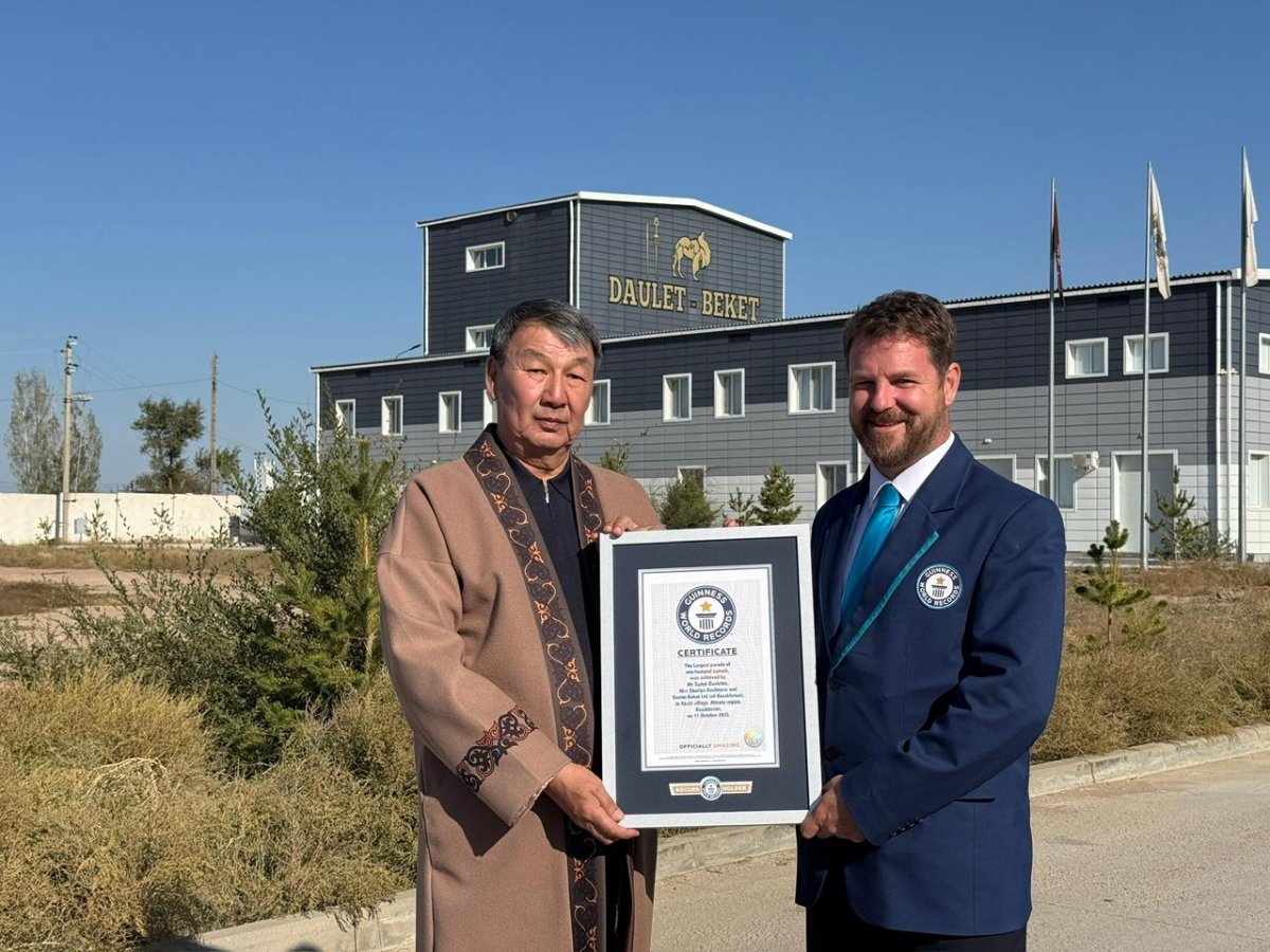 Самый большой караван верблюдов прошел через село в Алматинской области и вошел в Книгу рекордов Гиннесса