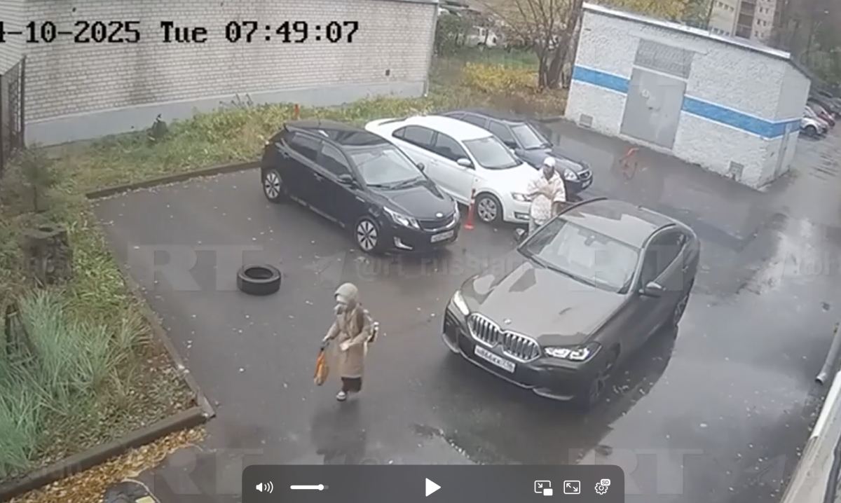 На женщину напали с ножом после того, как она проводила ребенка в школу (ВИДЕО)