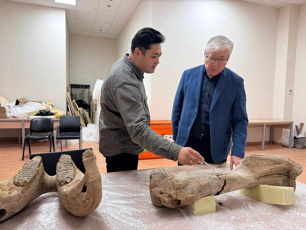 Кости мамонта нашли в Акмолинской области