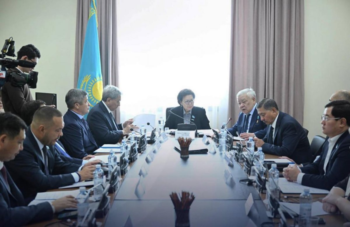 Вопросы социального обеспечения военнослужащих обсудили в Мажилисе