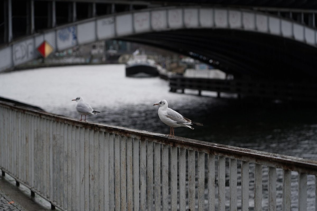 Заморозки и сильный ветер ожидаются в отдельных регионах Казахстана
