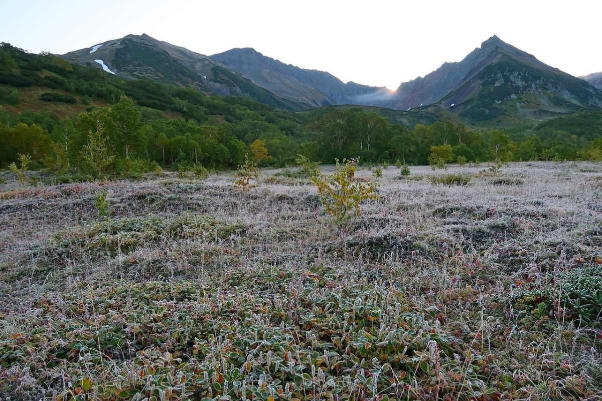 Температурные качели ожидаются в Астане и Алматы