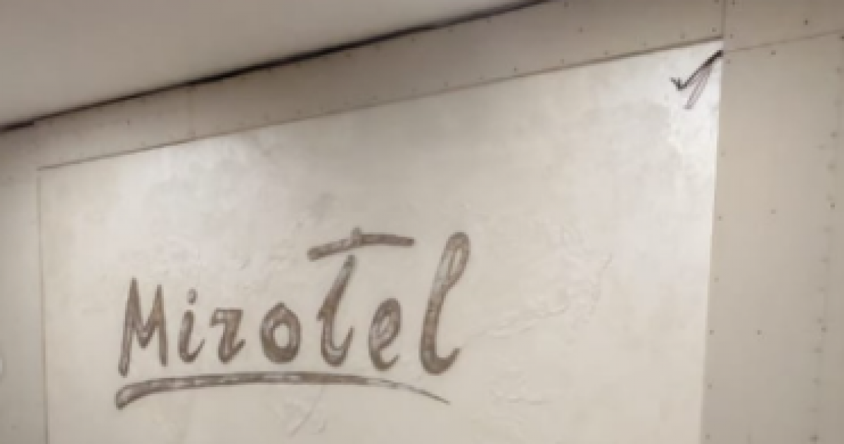 Алматинская художница обвинила в неоплате своих услуг отель Астаны