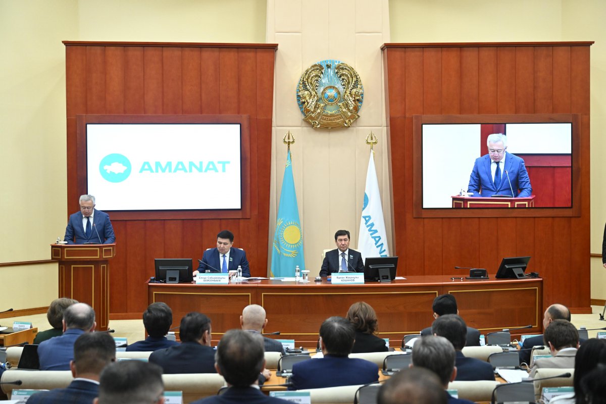 "Постоянно уповать на президента недопустимо": AMANAT призывает соблюдать принципы “слышащего государства”