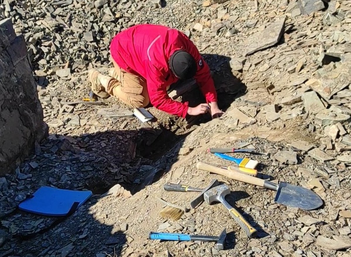 Ученые нашли в Алматинской области следы жизни до эпохи динозавров