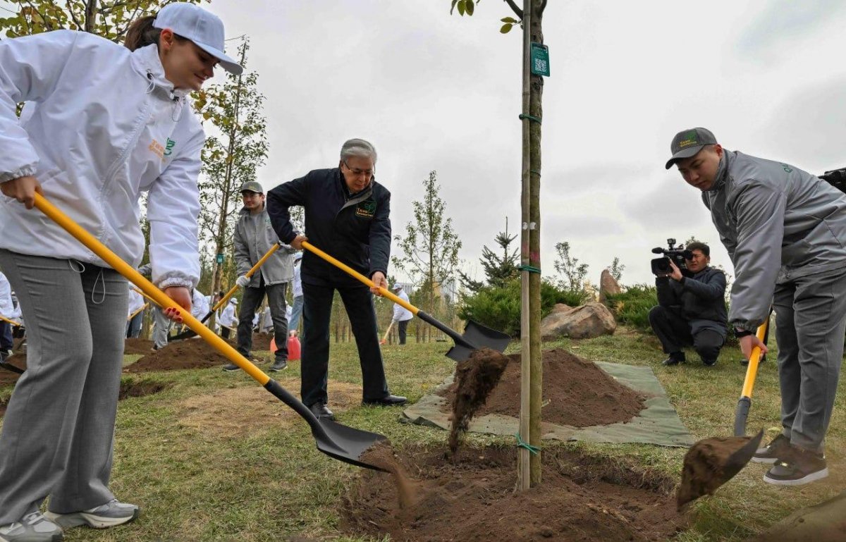 Казахстанцы высадили 4 млн деревьев за год – Токаев