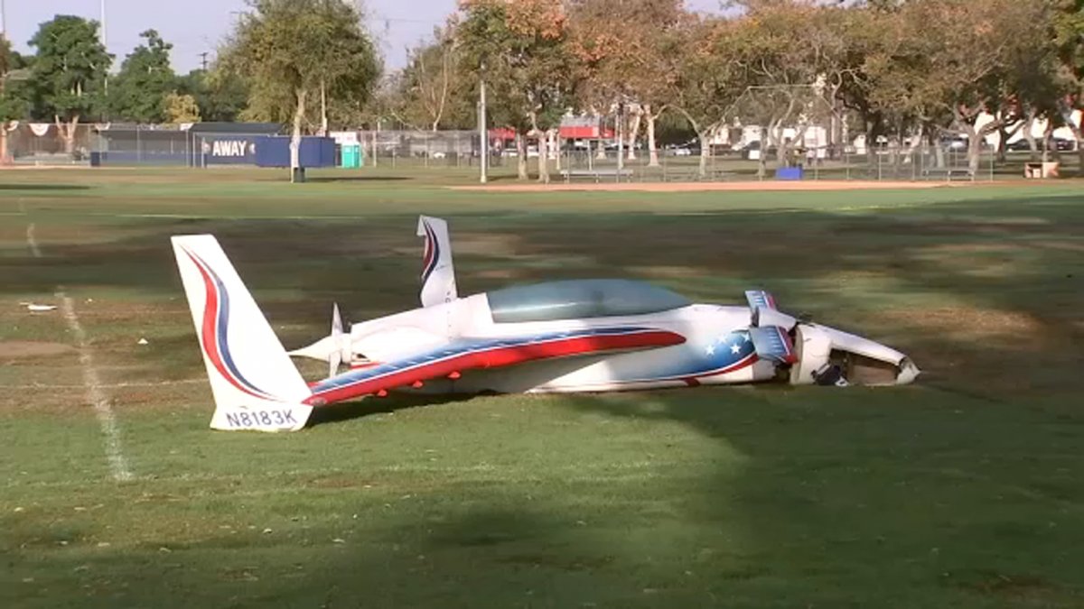 Самолет упал в США и задел глухую женщину с собакой