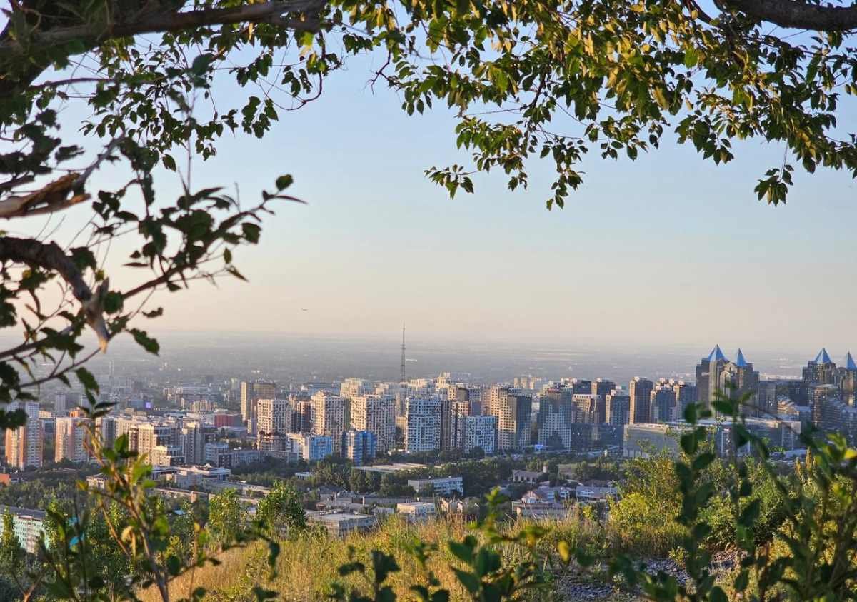 60% выбросов из-за автотранспорта: правила охраны атмосферного воздуха принимают в Алматы