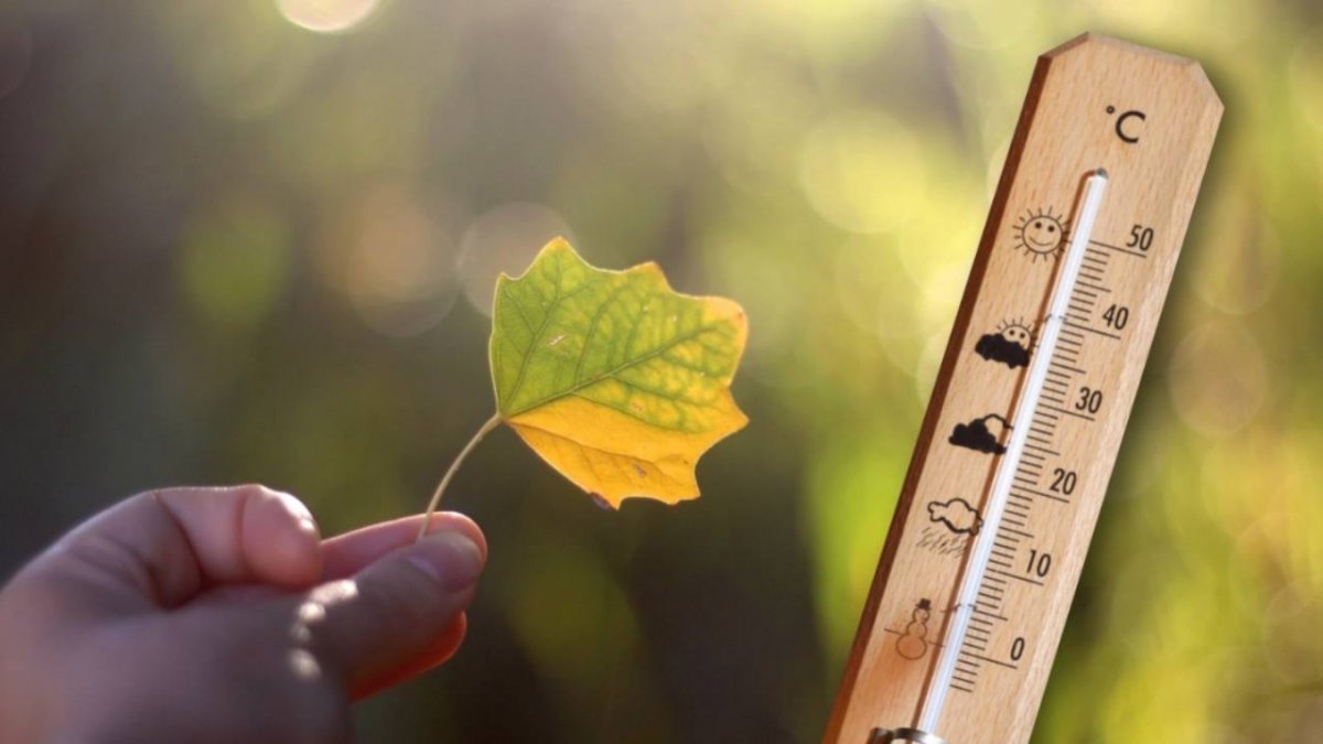 До +24 градусов ожидается в Шымкенте 29 октября