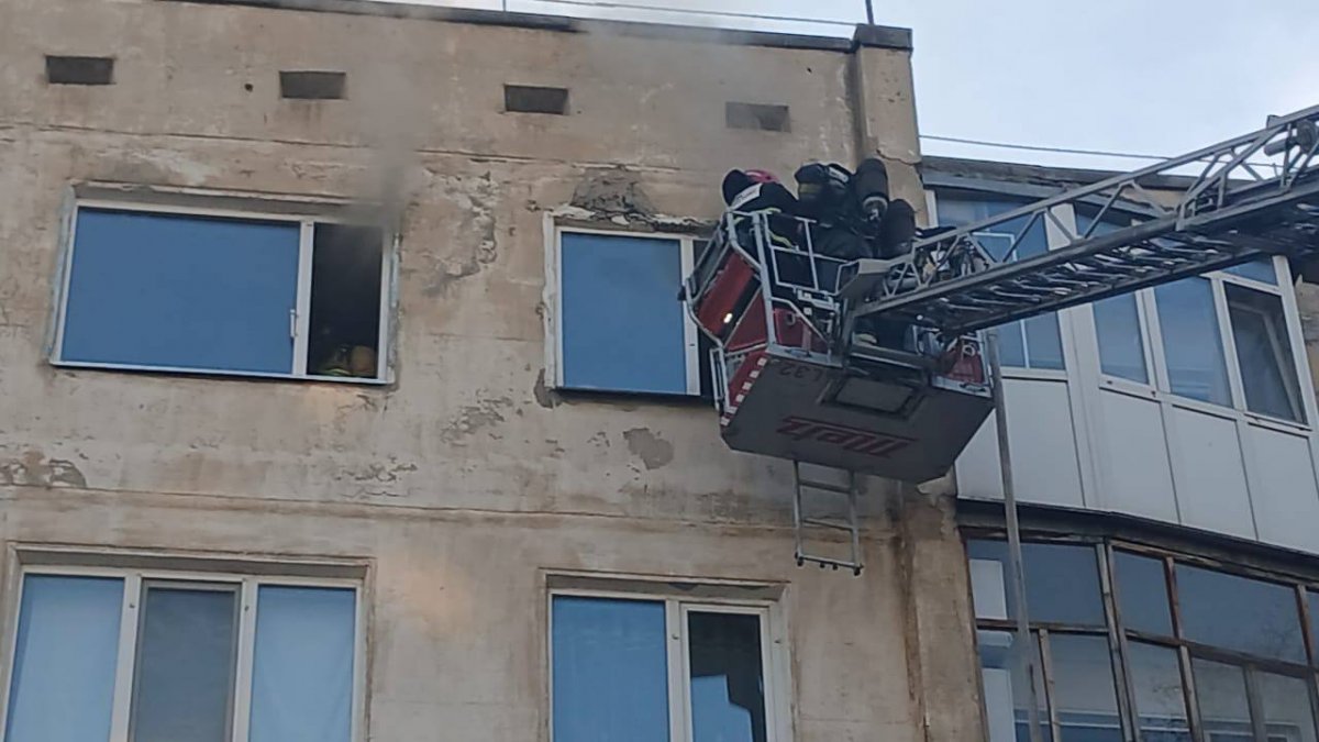 Пожарные реанимировали кошку в Кокшетау (ВИДЕО)