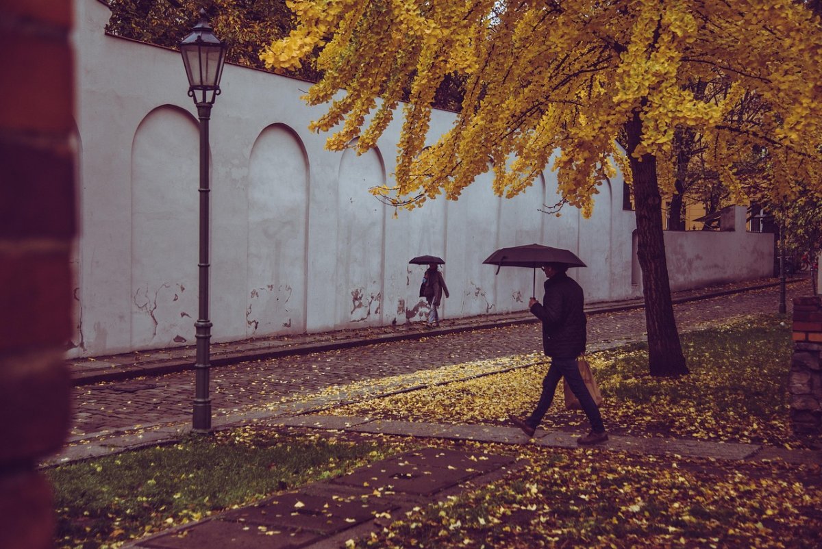Дожди ожидаются в Казахстане 29 октября
