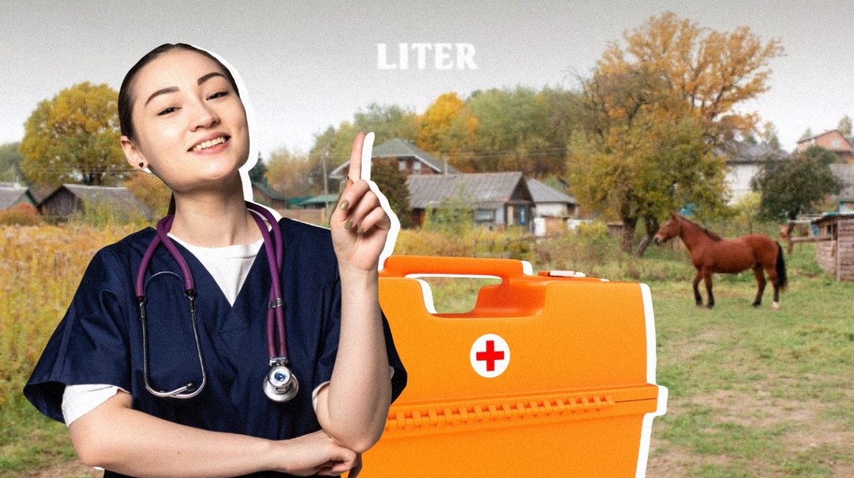 Сельская медицина в СКО держится, но остро нуждается в кадрах